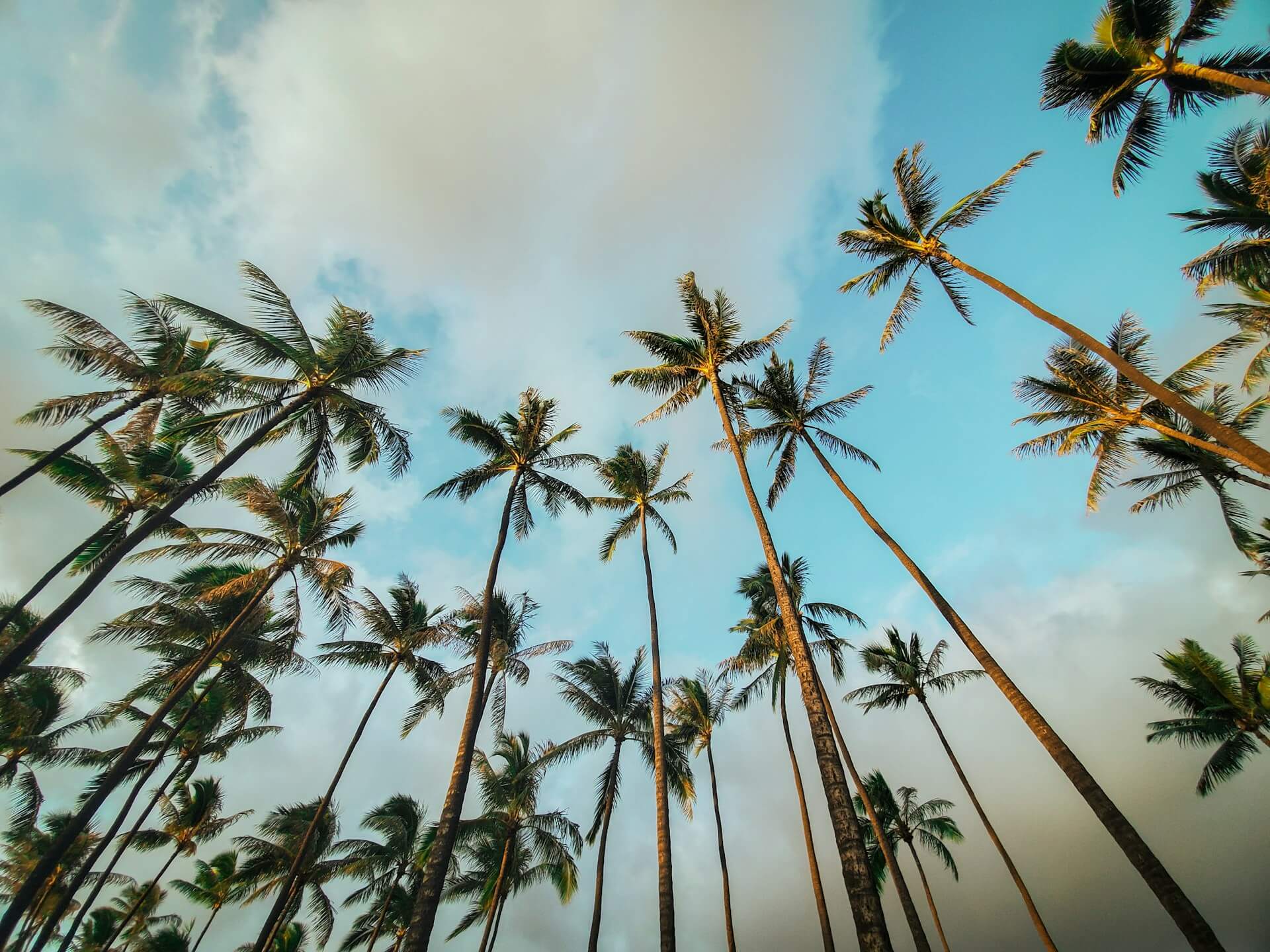 Beautiful tropical destination - standard wide
